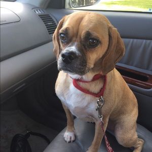 Meet your Posher, Megan